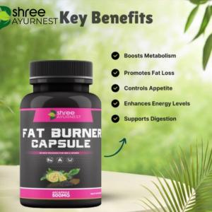 icon Fat  Burner